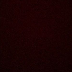 Meet your Posher, Ronnie